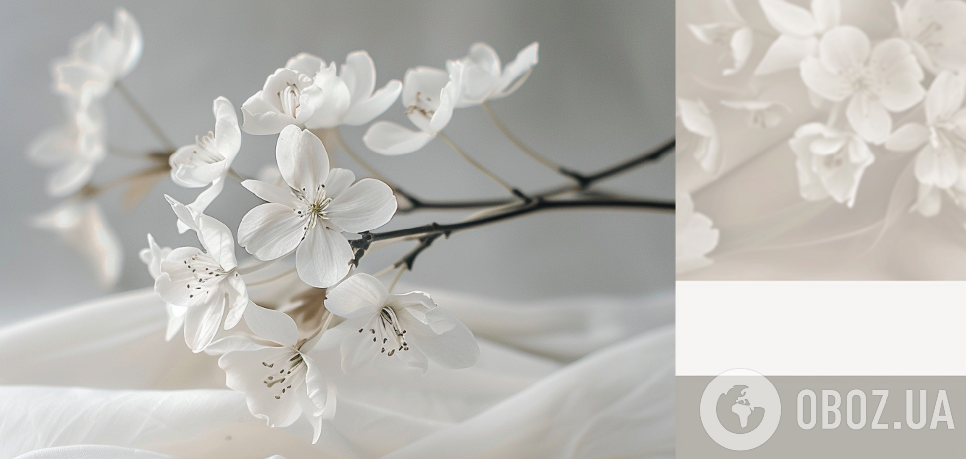 Білосніжний і сніжно-білий: чому однакові за значенням українські слова пишуться по-різному