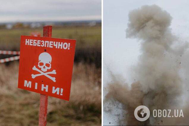 Снаряд сдетонировал: в Херсонской области погиб пастух, нашедший российскую взрывчатку