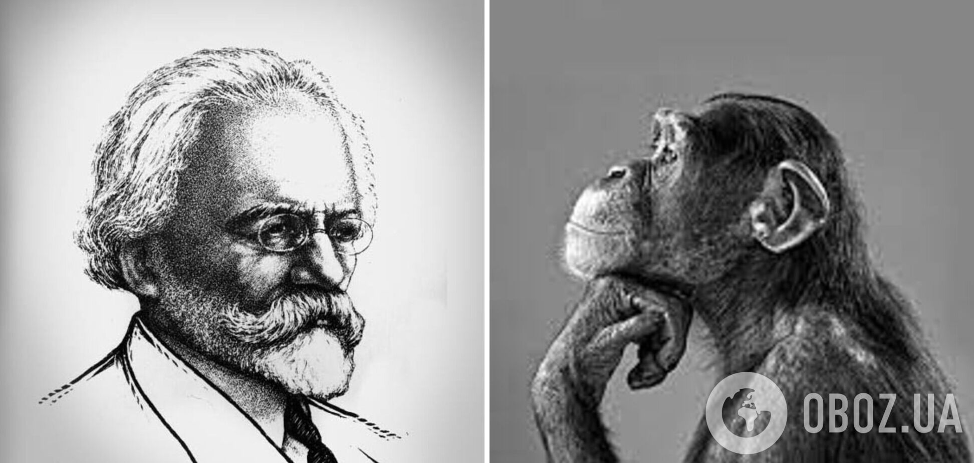 98 лет назад советский ученый попытался скрестить человека и обезьяну: чем закончился жуткий эксперимент