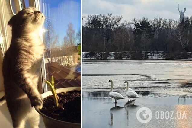 Будет много солнца: синоптики дали детальный прогноз погоды на среду. Карта