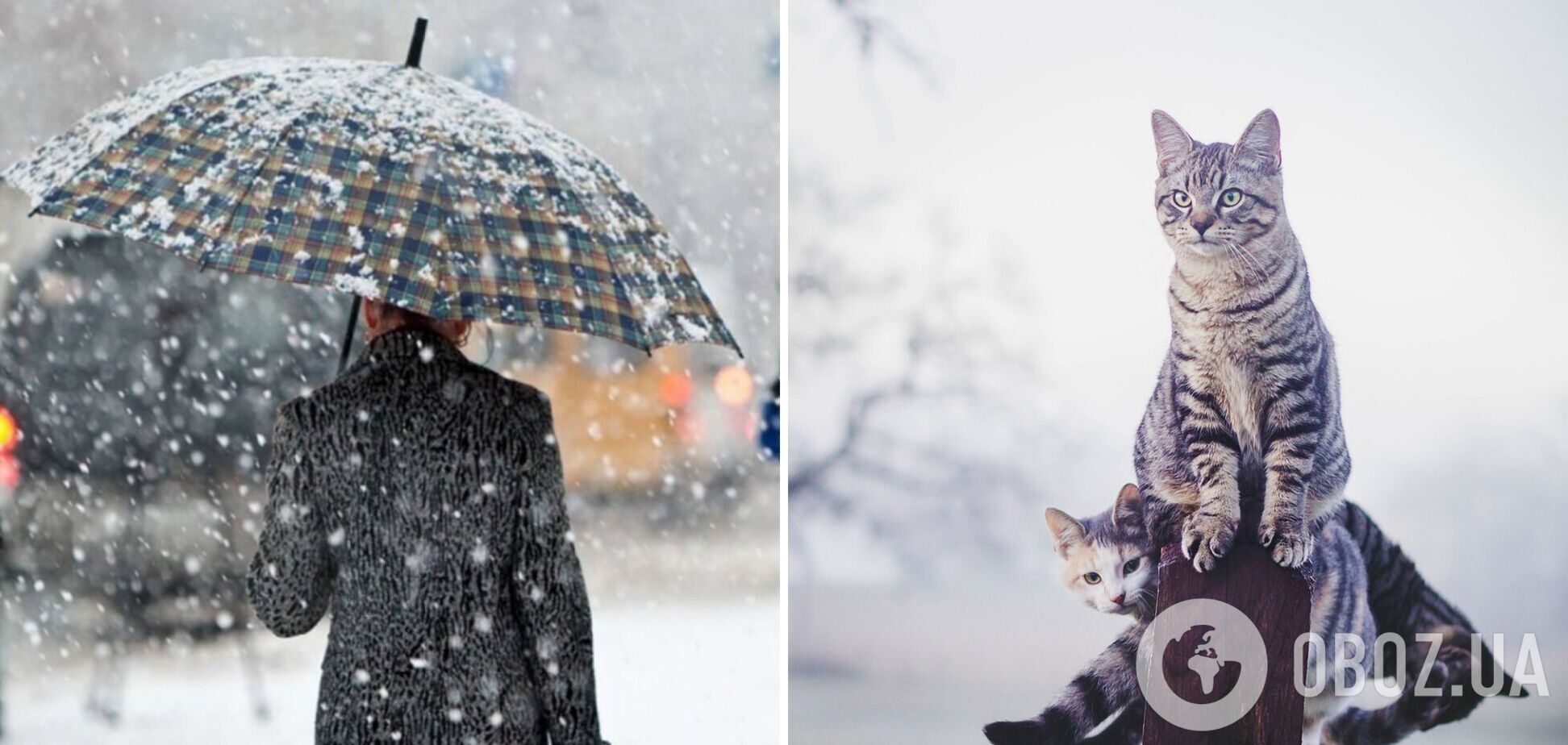 В Украине немного потеплеет, но есть 'нюансы': синоптик назвала дату и озвучила подробный прогноз. Карта