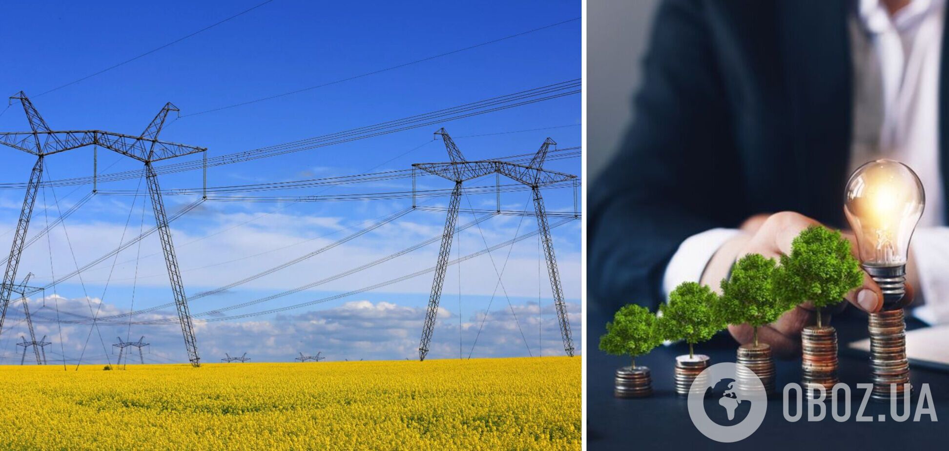 Развитие зеленой энергетики в Украине сдерживает проблема долгов, – Голиздра