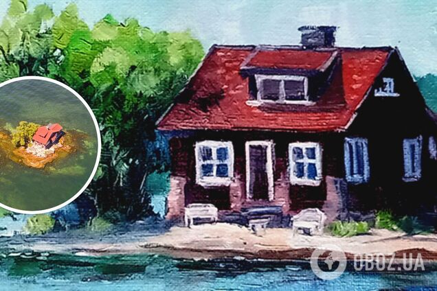 Який вигляд має найменший населений острів у світі: там є дерево, два кущі і будинок. Фото