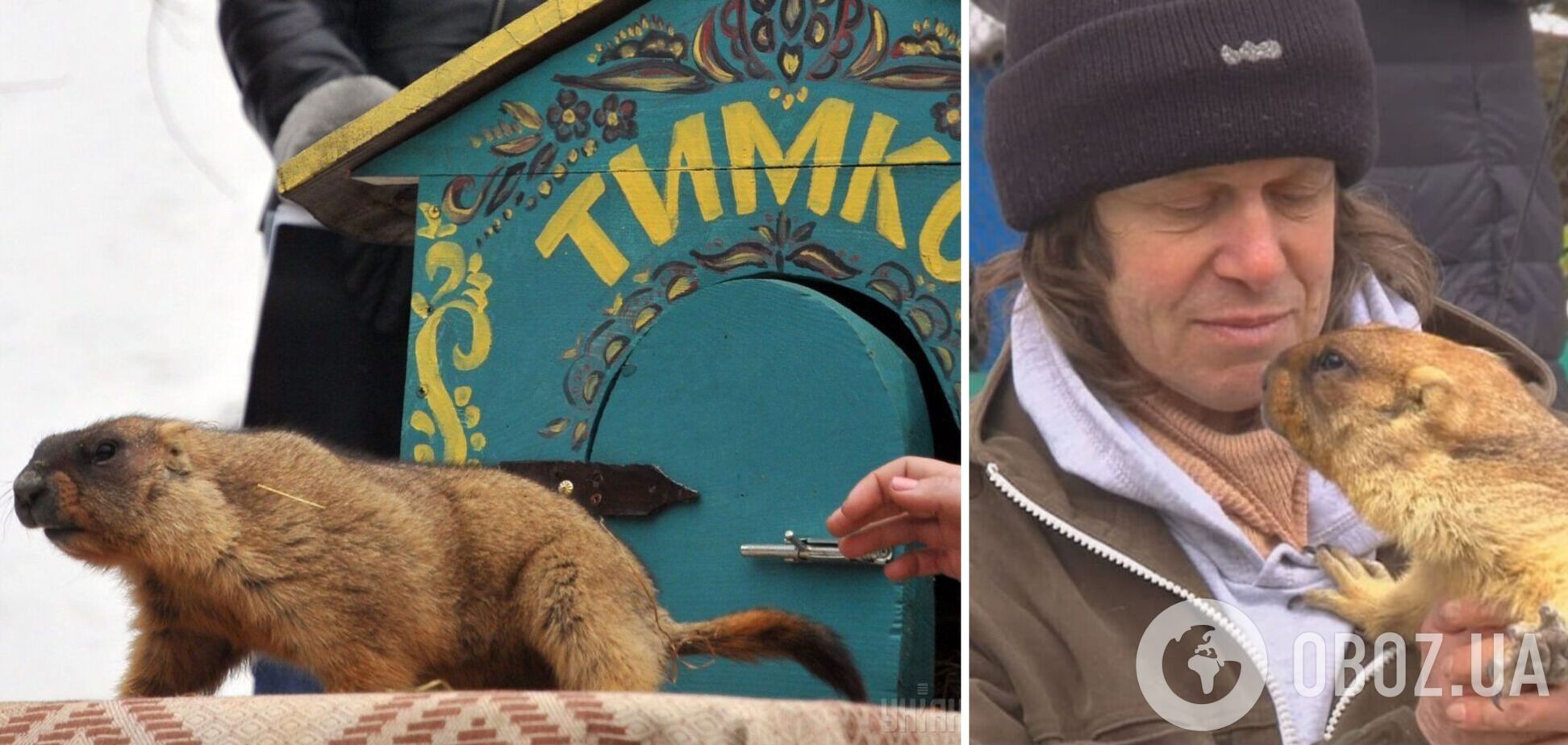 День бабака: історія, традиції, як правильно визначити погоду на рік