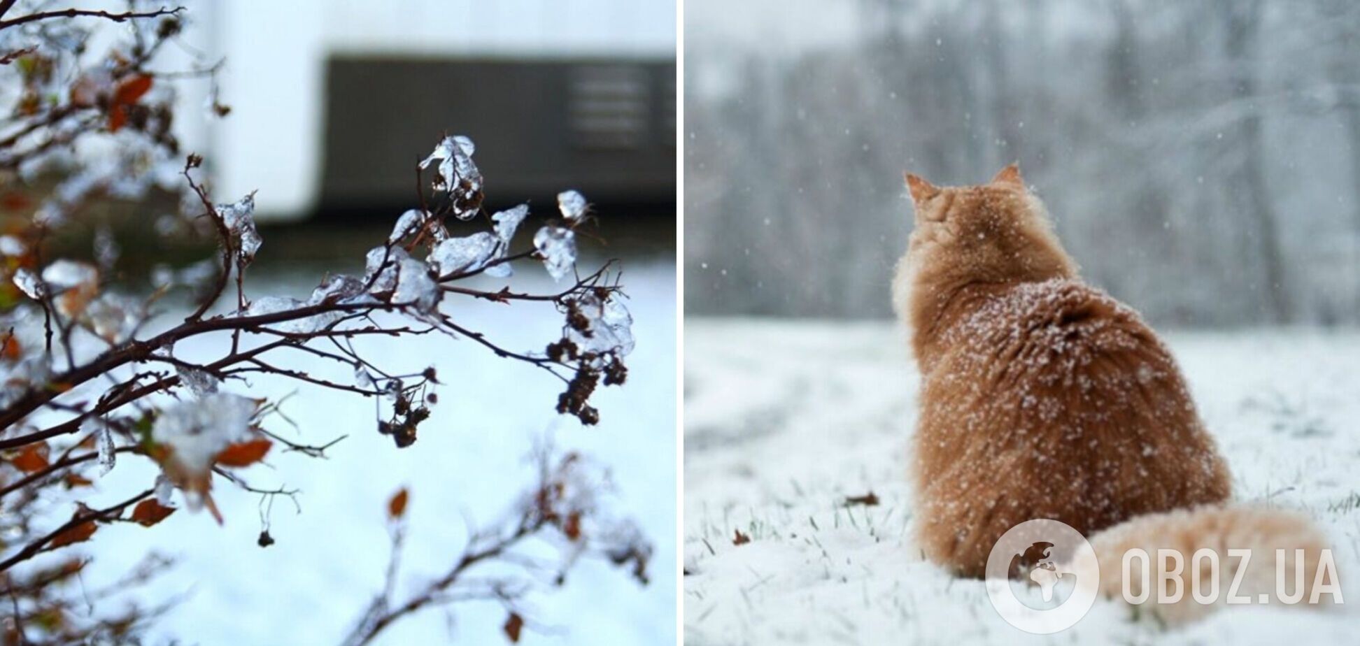 Мокрый снег и до -6: синоптики предупредили, где будет холоднее всего в Украине 2 февраля