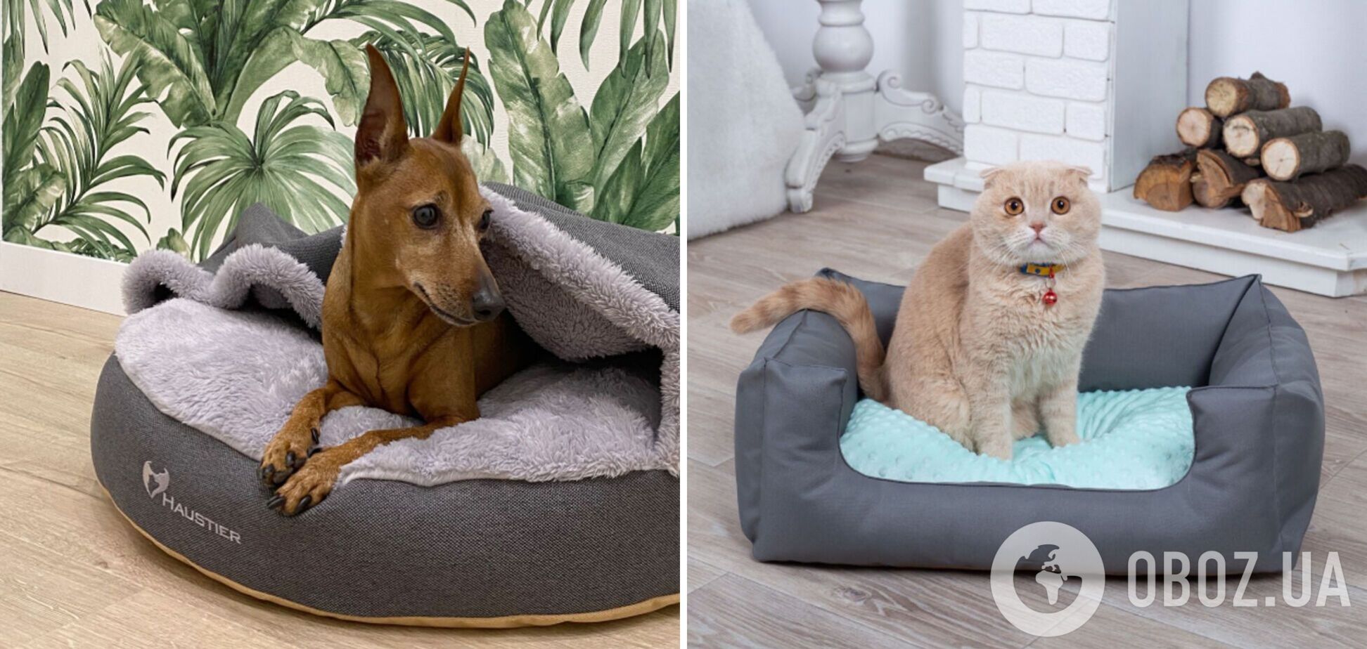 Ваш любимец будет в восторге: как правильно почистить лежанку для кота или собаки