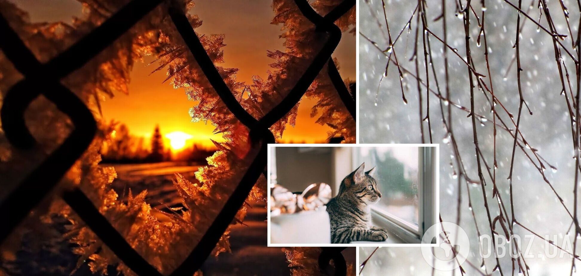 Від +12 до морозів і снігу: синоптикиня попередила про погодні контрасти в Україні. Карта