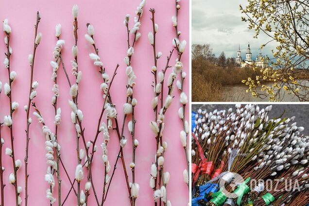 Когда будут праздновать Вербное воскресенье в 2024 году: как повлиял новый календарь