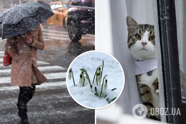 Місцями дощ і пориви вітру: синоптики дали прогноз погоди на неділю, 25 лютого