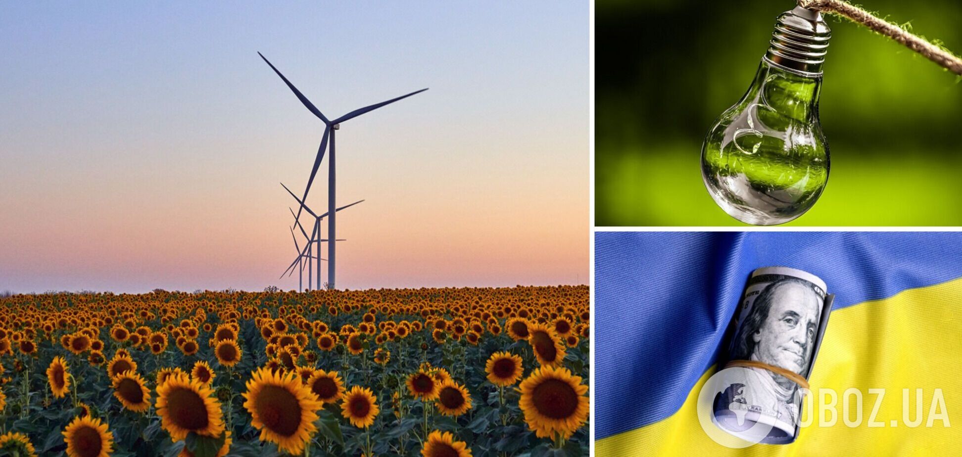 Довіра інвесторів до України слабшає через боргову кризу в зеленій енергетиці, – Наумик