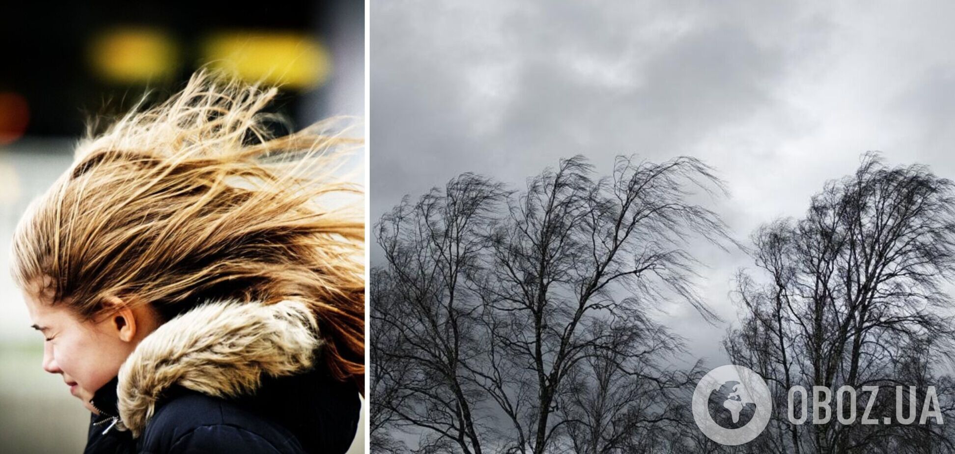 Синоптики попередили про сильні пориви вітру на Київщині