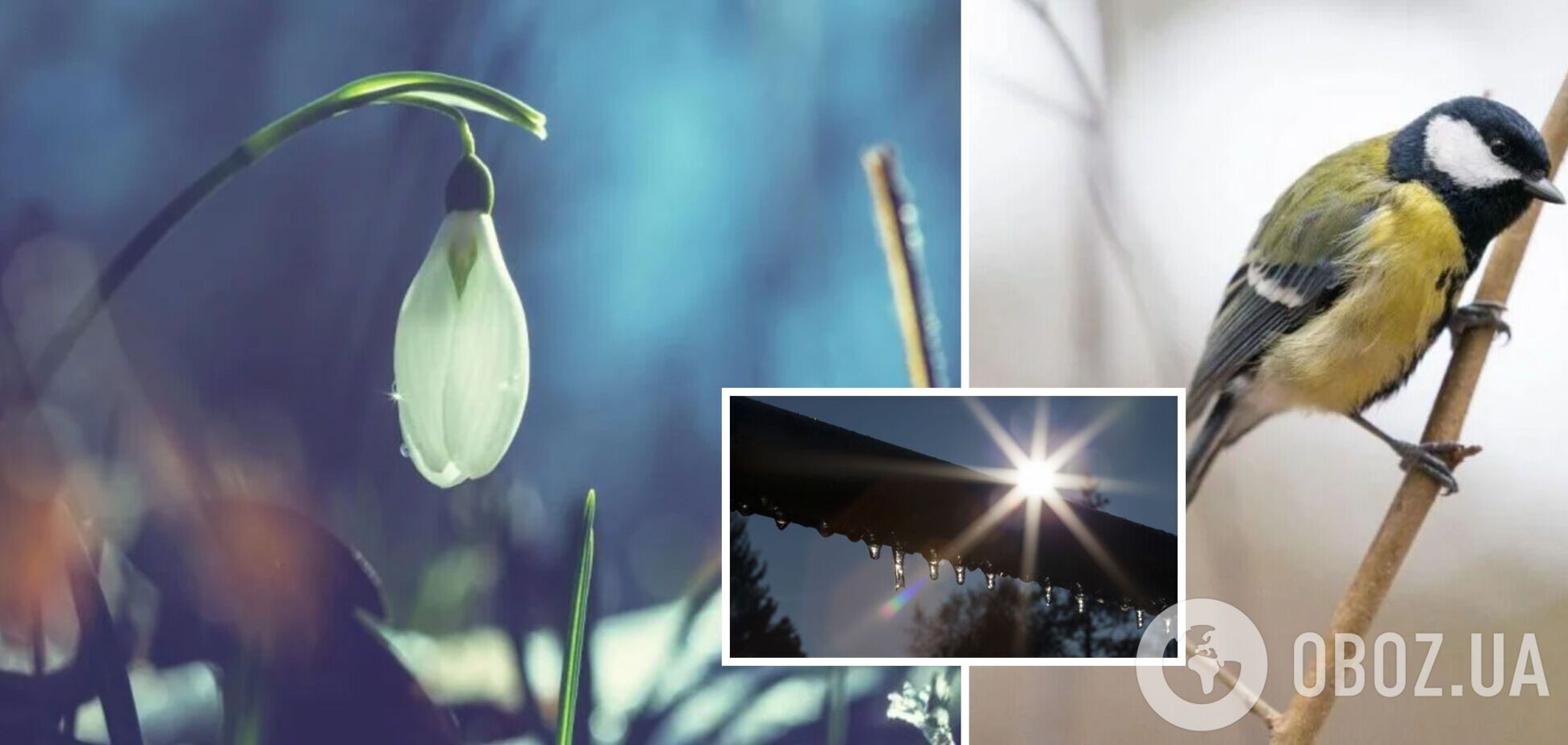 В Україну ввірветься тепло до +15 градусів: синоптики дали детальний прогноз на вихідні. Карта