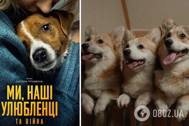 'Мы, наши любимцы и война': документальный фильм блоггера Антона Птушкина покажут в кинотеатрах