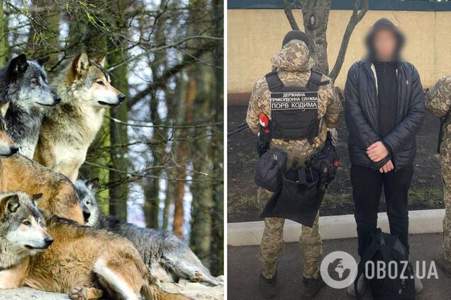 'Хотел пересечь границу, но встретил волков': в Одесской области уклонист-неудачник сдался пограничникам. Фото