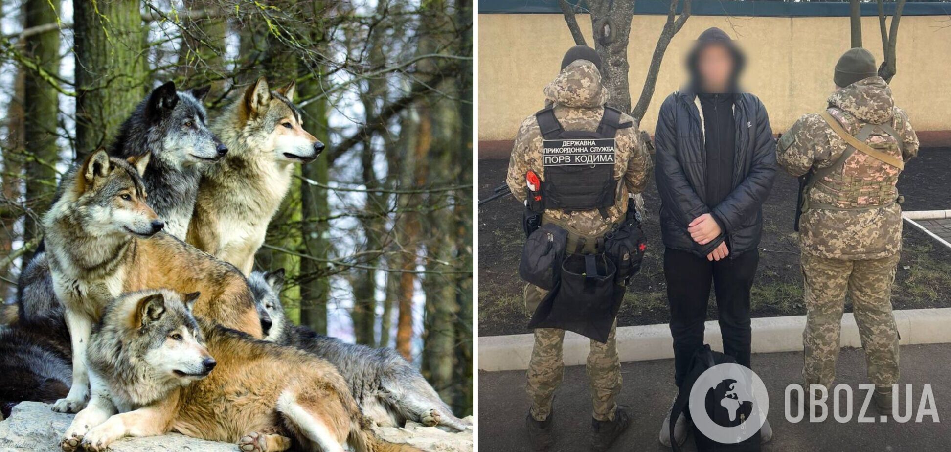 'Хотів перетнути кордон, але зустрів вовків': в Одеській області ухилянт-невдаха здався прикордонникам. Фото