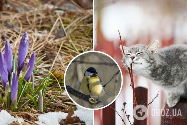 Майже весна: синоптики дали прогноз погоди на вівторок, 27 лютого