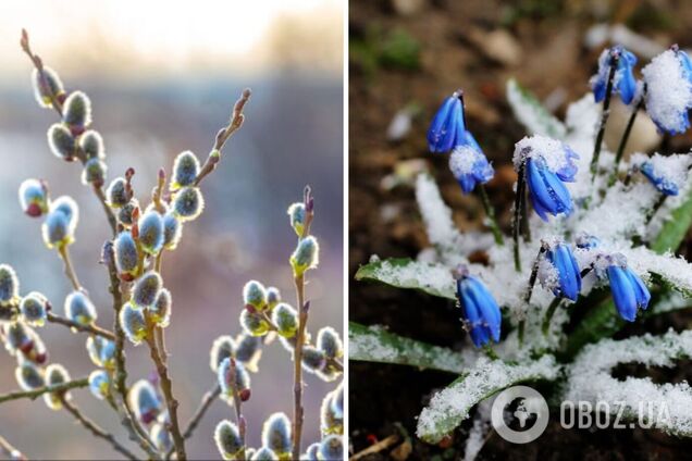 Синоптик рассказала, какой погоды ждать в Украине в конце февраля: будет ли похолодание и осадки
