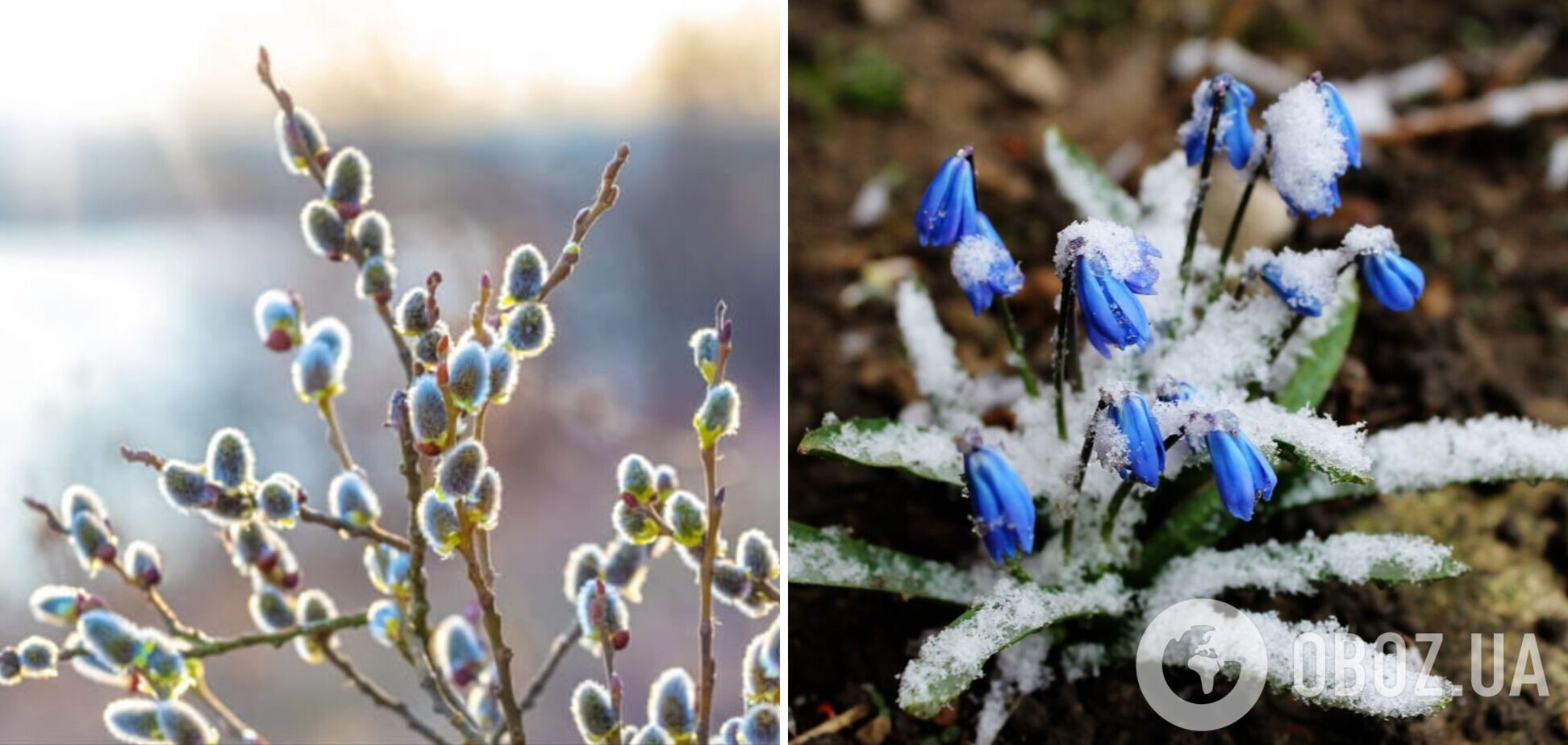Синоптикиня розповіла, якої погоди чекати в Україні в кінці лютого: чи буде похолодання і опади
