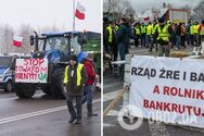 Польські фермери будують ненависть до продукції з України на міфах, – посол Зварич