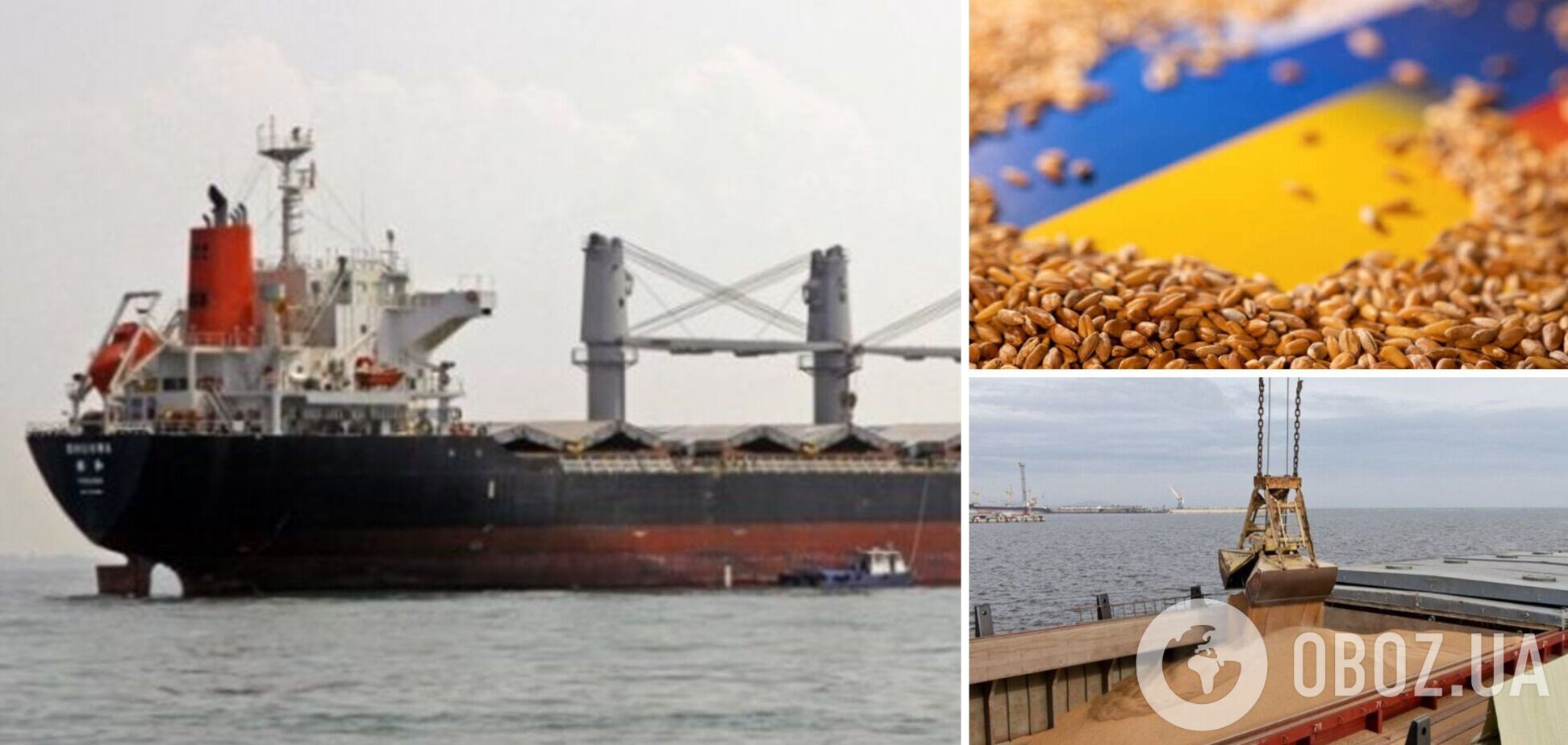 З початку року окупанти вивезли через порт Маріуполя вже 21 тисячу тонн краденого українського зерна