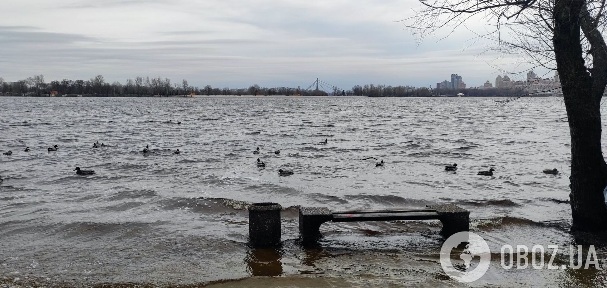 Синоптики предупредили о возможных подтоплениях