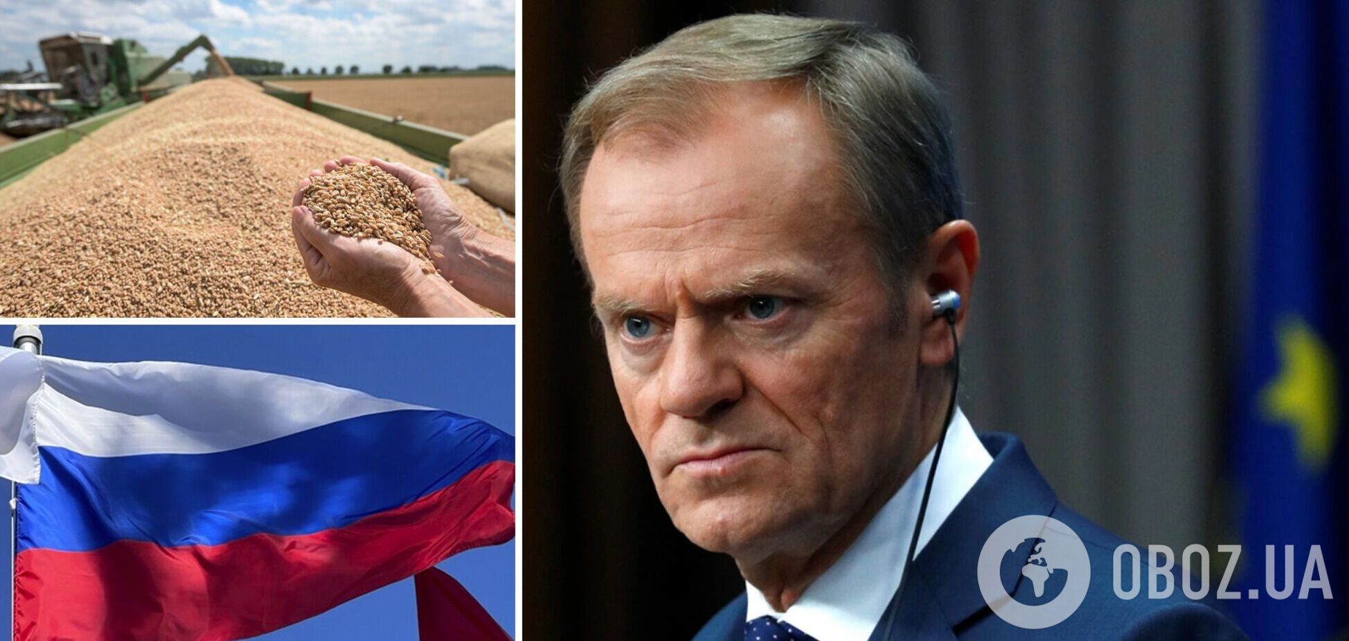 В Польше задумались о запрете зерна из России: Туск раскрыл позицию власти