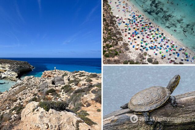 Песок и вода, как на Мальдивах. Где находится Кроличий пляж, который считается одним из лучших в мире