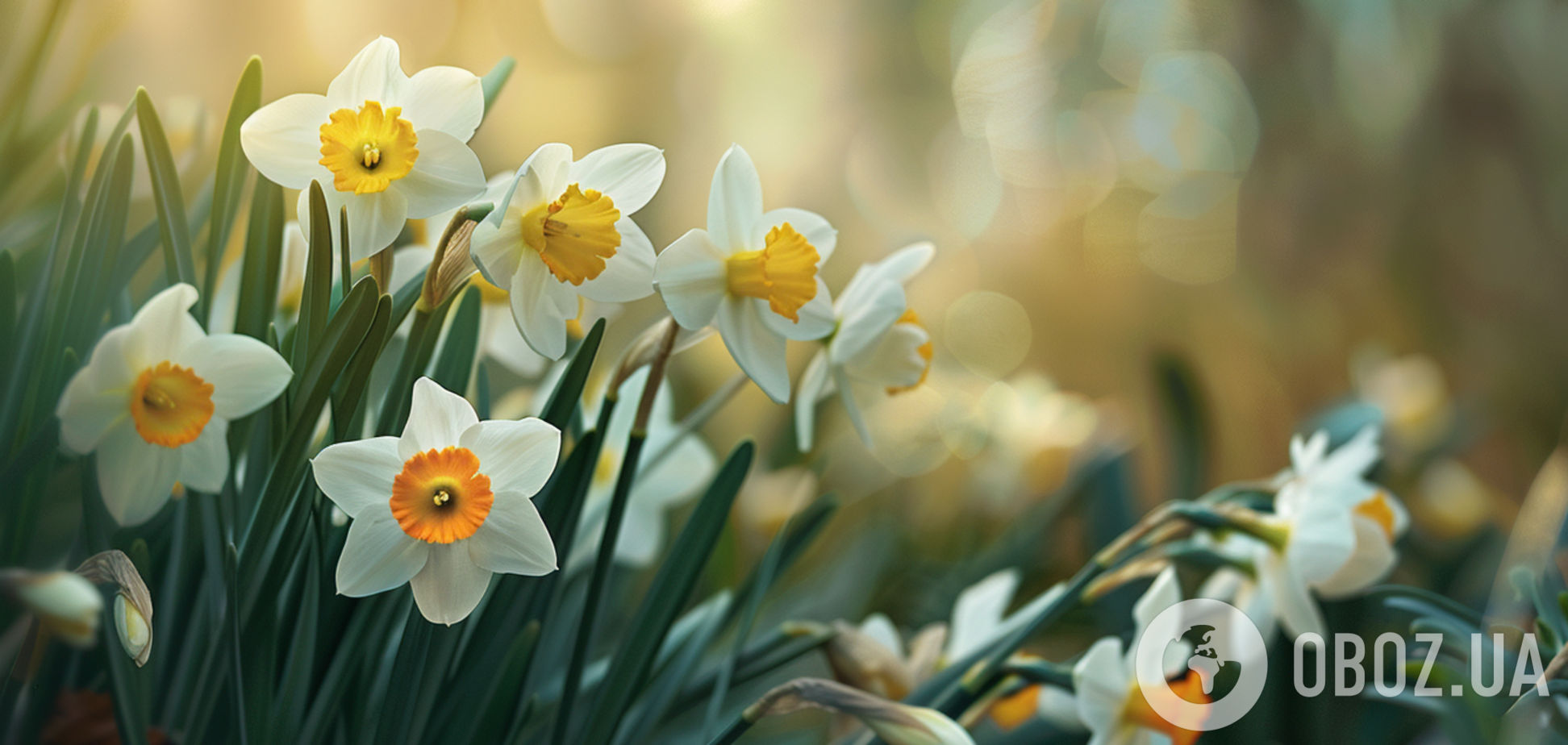 С первым днем весны! Теплые поздравления и открытки