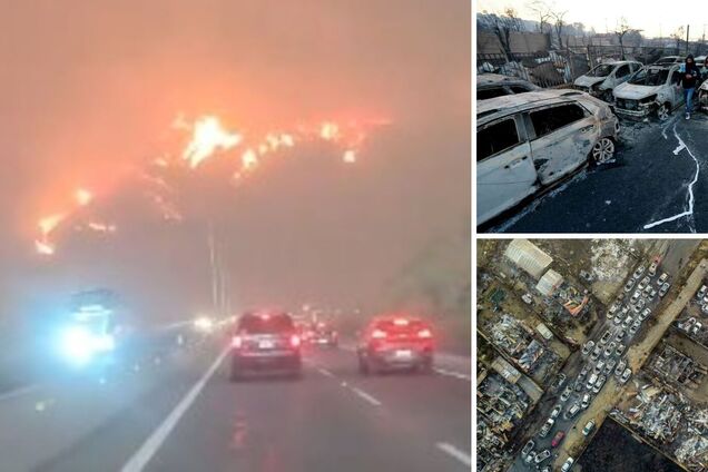 Масштабні лісові пожежі у Чилі: згоріли тисячі будинків, загинули понад півсотні людей. Фото та відео
