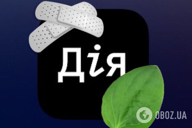'Швидше Джамала народить, ніж Дія встане': українці 'наплодили' мемів через курйоз із Нацвідбором на Євробачення-2024