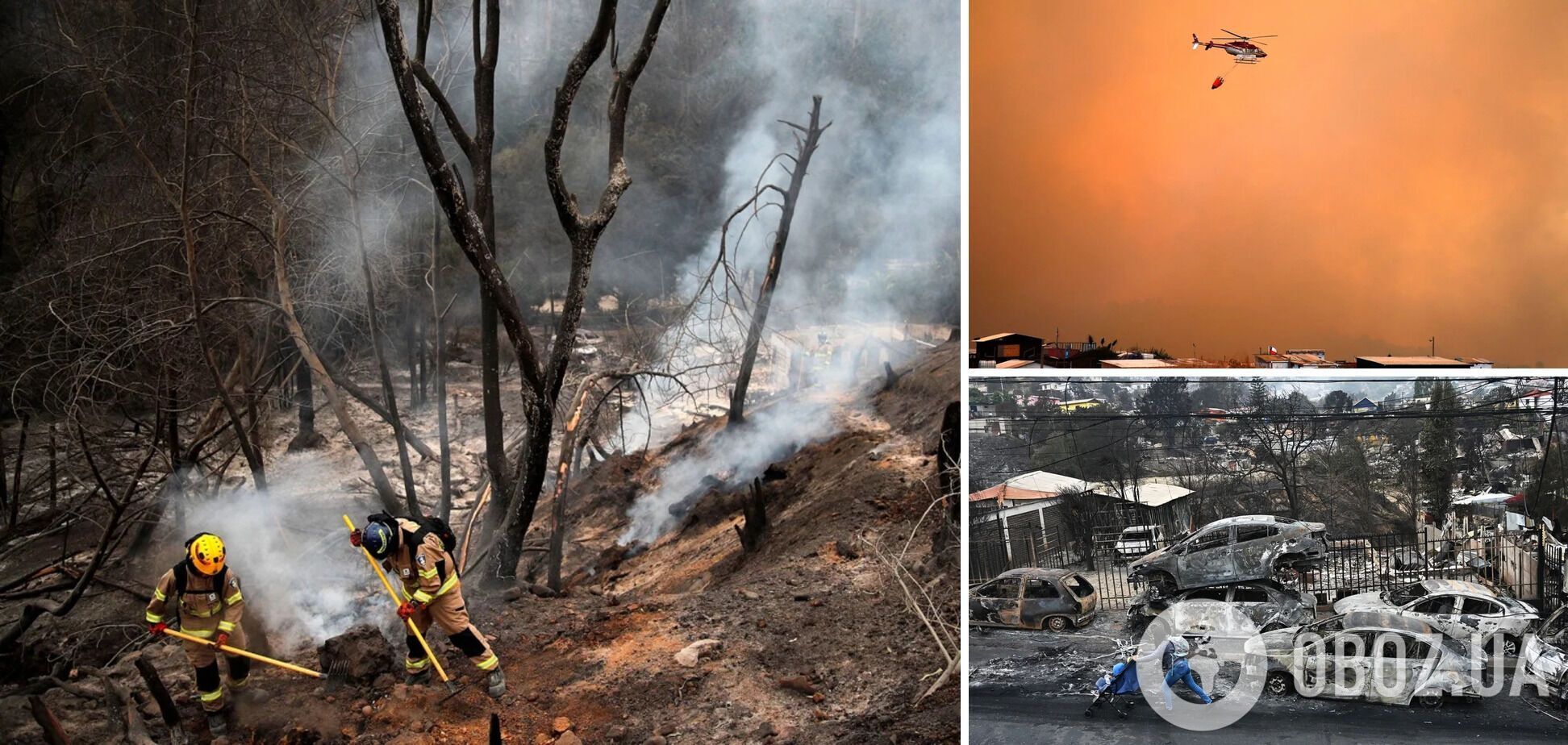 В Чили не утихают масштабные лесные пожары, погибло более 100 человек: борьба с огнем продолжается. Видео