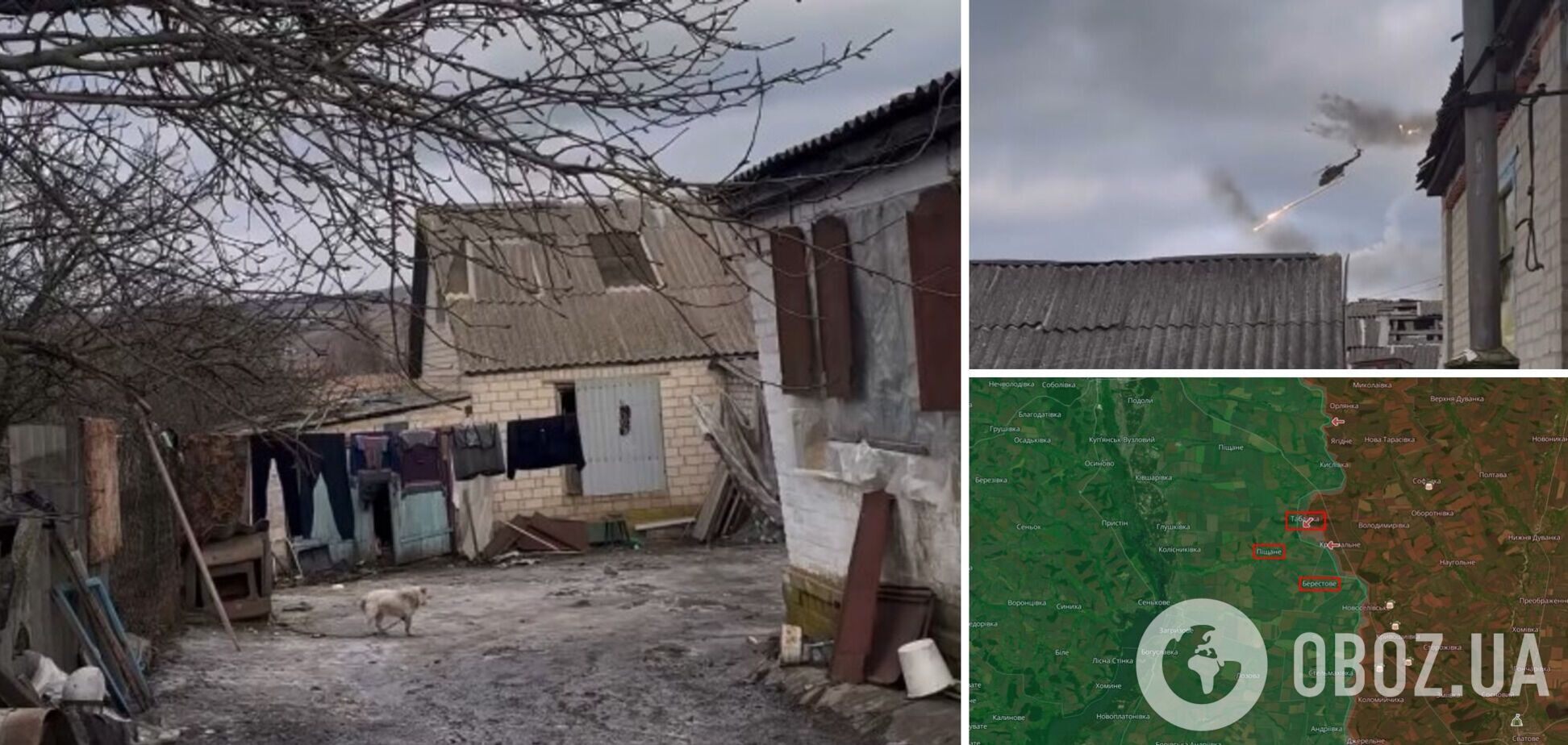 На подвір'ї бігають тварини, а поруч б'є авіація: мережу розбурхало відео із села на Харківщині