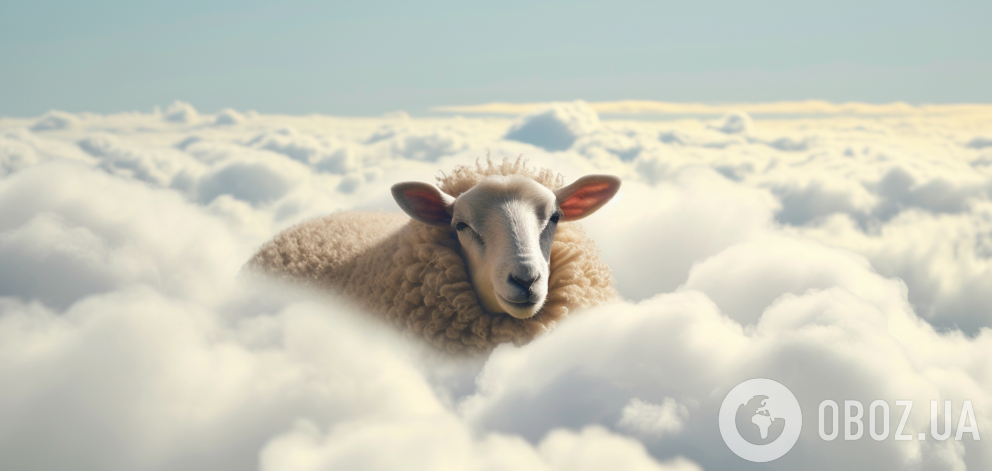 Только самые внимательные найдут овечку среди облаков на картинке за 9 секунд
