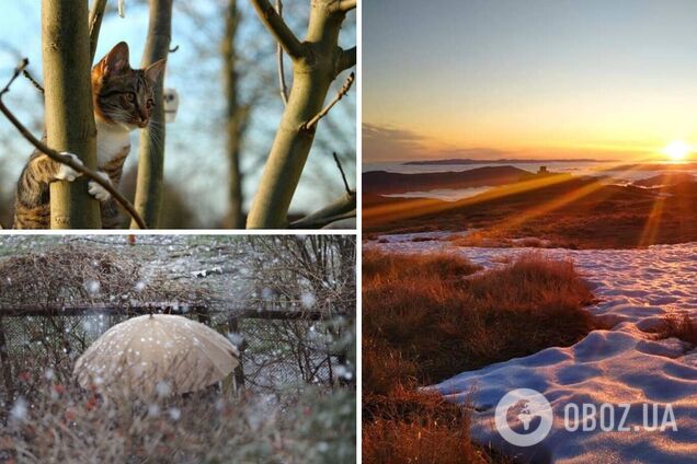 Температура достигнет +17: в Укргидрометцентре спрогнозировали погодную аномалию в феврале
