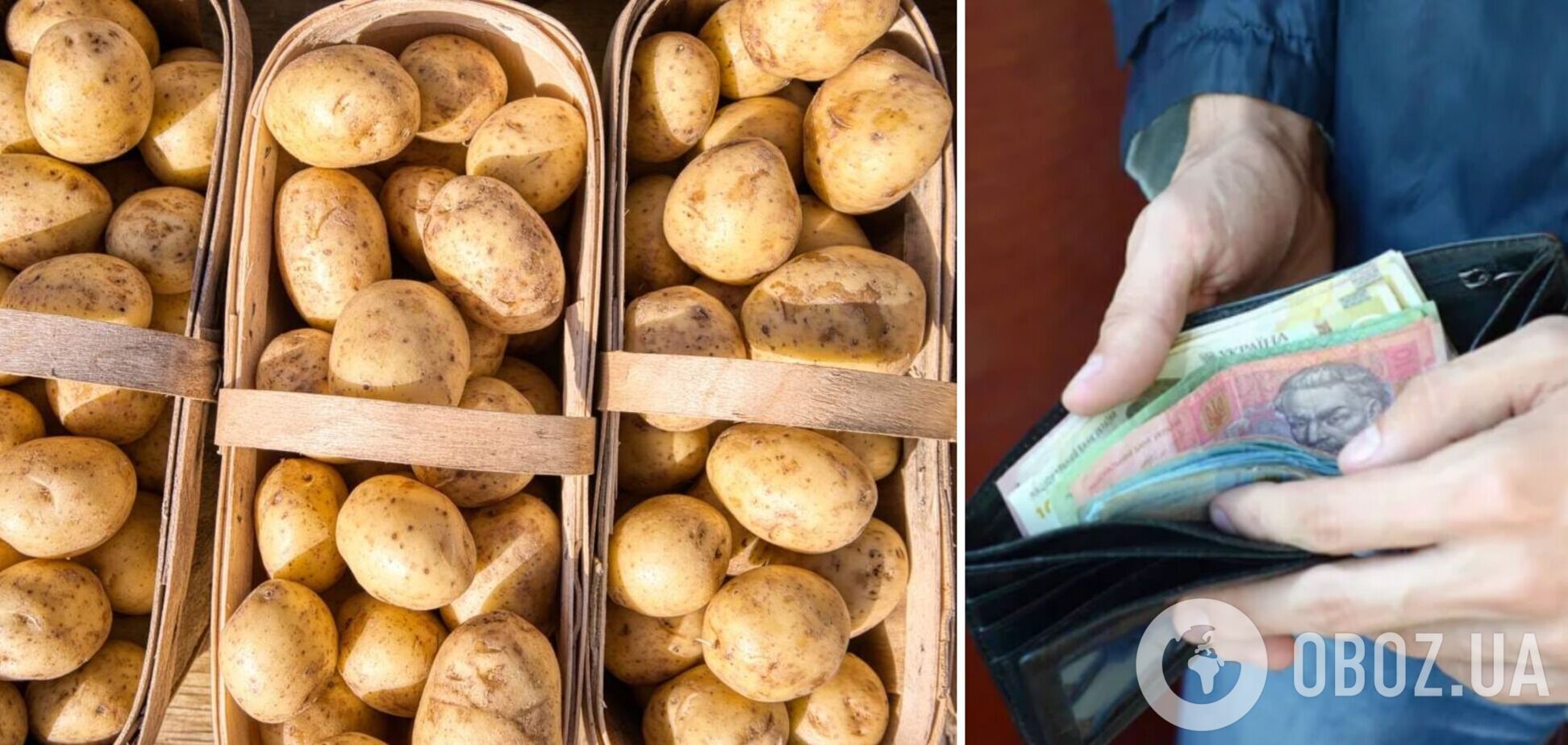 В Україні знову змінюються ціни на картоплю