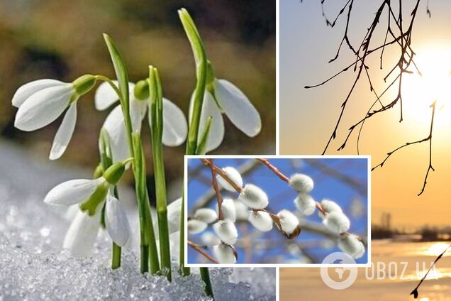 Можливі арктичні вороги: метеорологиня дала прогноз на весну в Україні