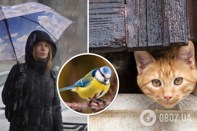 Март будет с 'сюрпризами': синоптик рассказала, какой погоды ждать в Украине