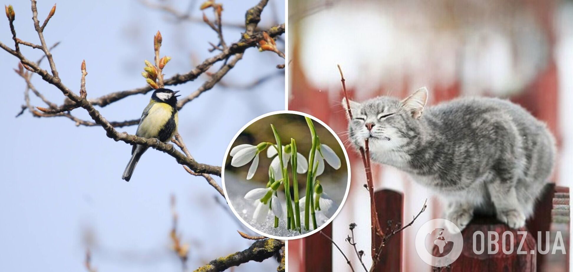 Весна в Украине начнется с потепления до +17: прогноз для всех областей