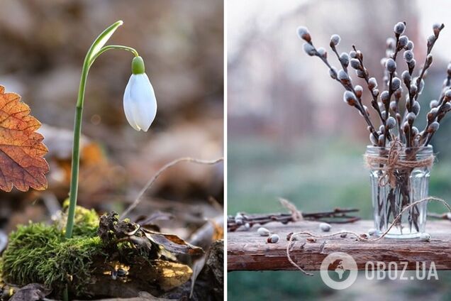 В Украине немного похолодает, будут порывы ветра: синоптик рассказала, чего ждать. Карта