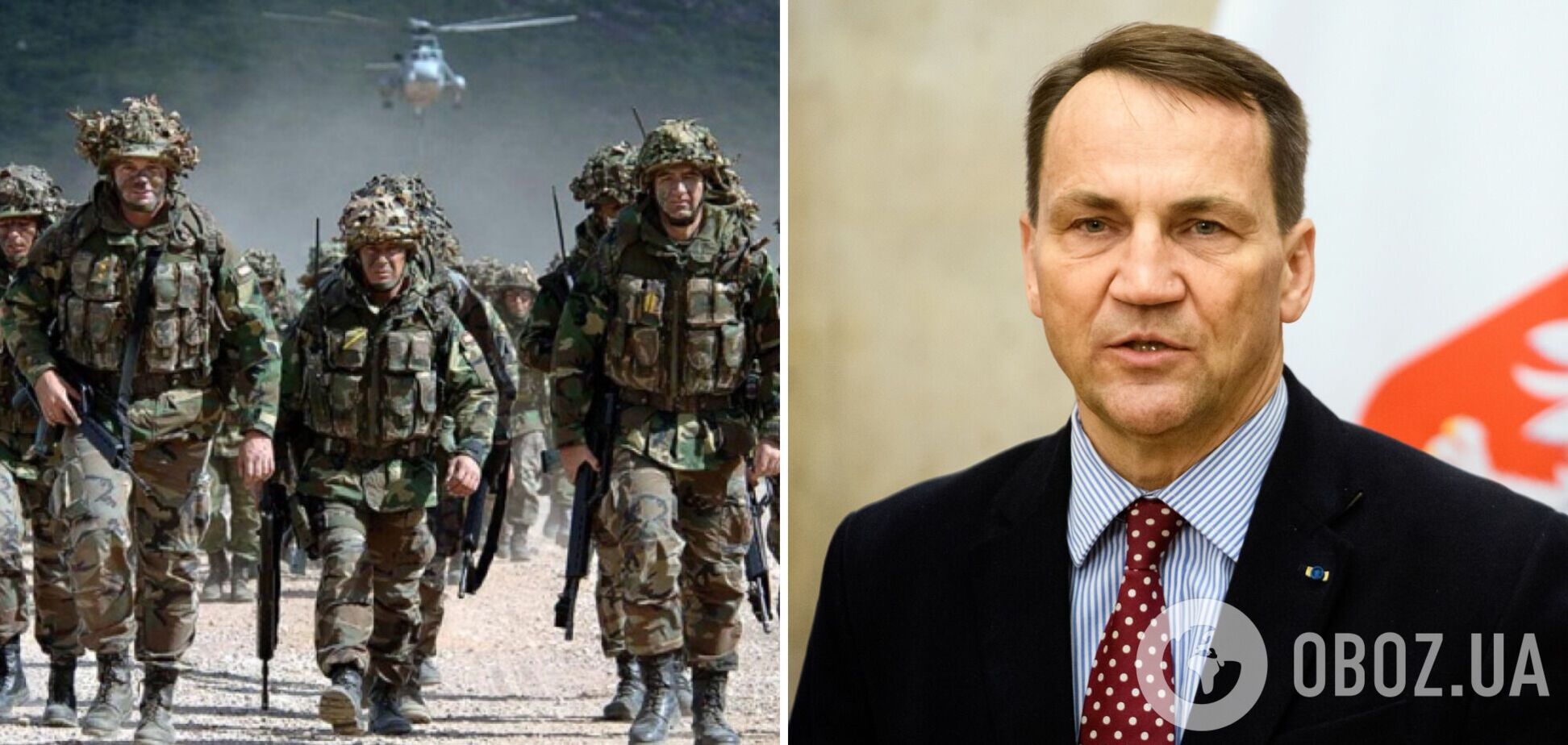 Сікорський заявив, що деякі країни НАТО вже направили військових до України