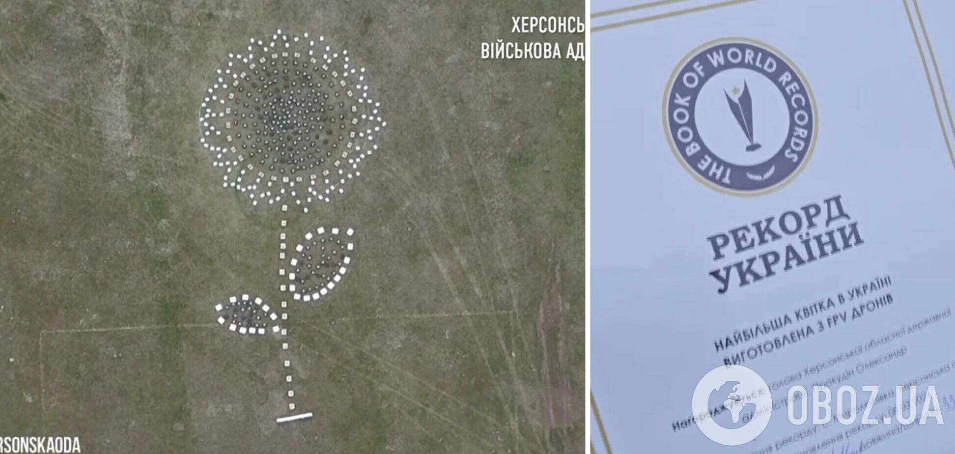 Особлива квітка: херсонський 'соняшник з дронів' увійшов до Книги рекордів України. Відео
