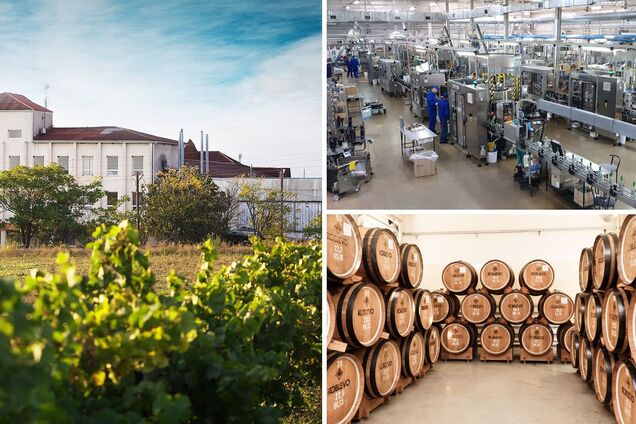 Bayadera Group увійшла до топ найкращих роботодавців України