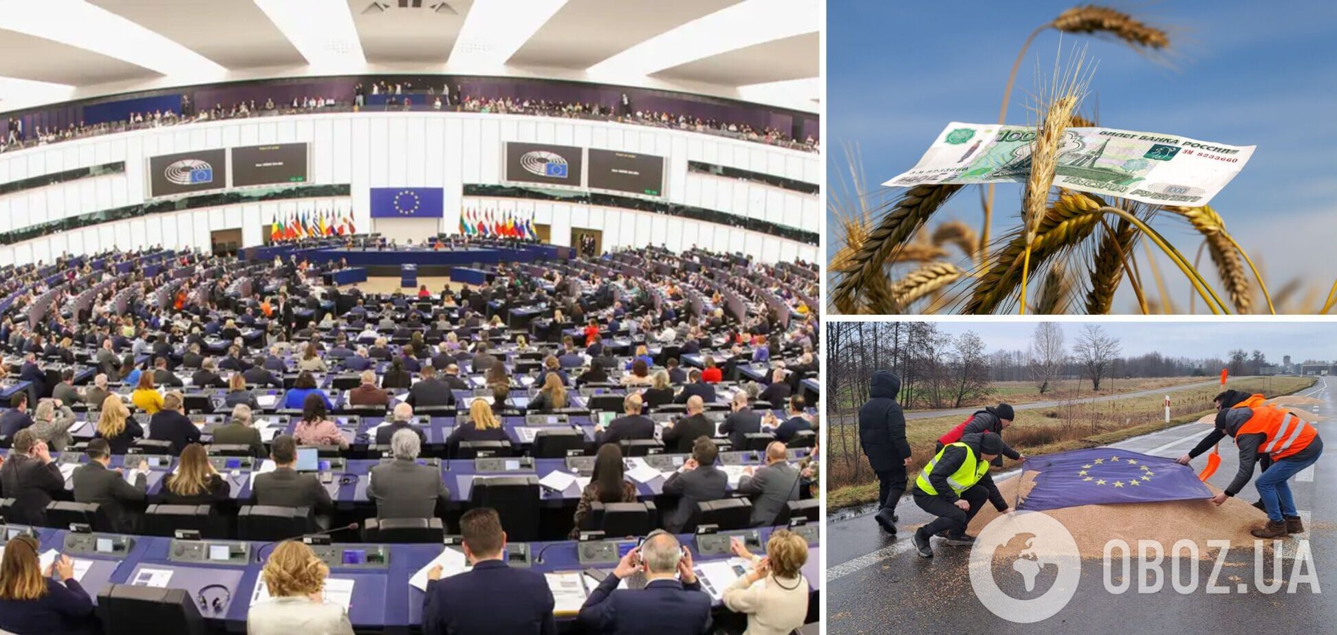 Запрета зерна и еды из РФ в ЕС требует Европарламент