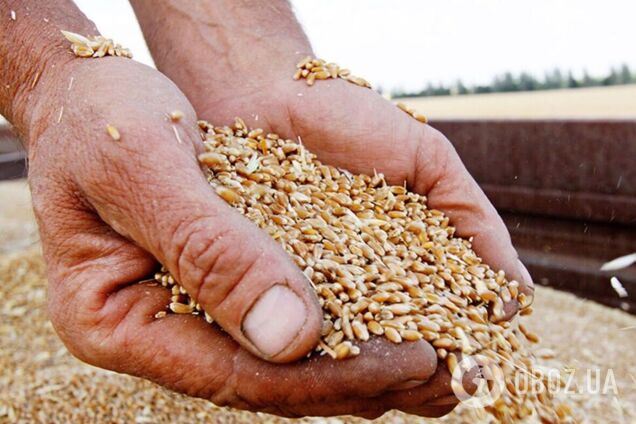 Европарламент проголосовал за внесение изменений в режим беспошлинного ввоза агропродукции из Украины в ЕС