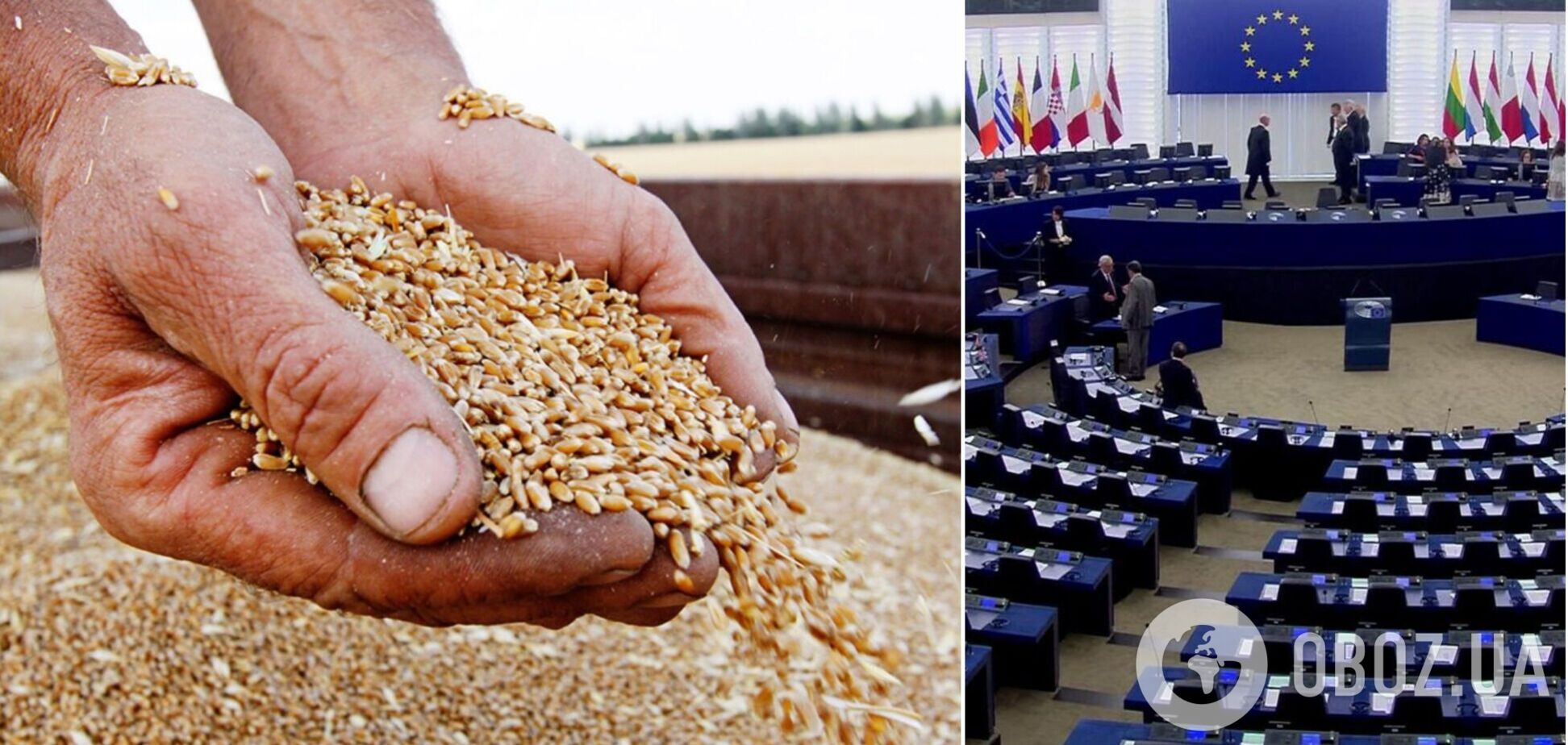 Европарламент проголосовал за внесение изменений в режим беспошлинного ввоза агропродукции из Украины в ЕС