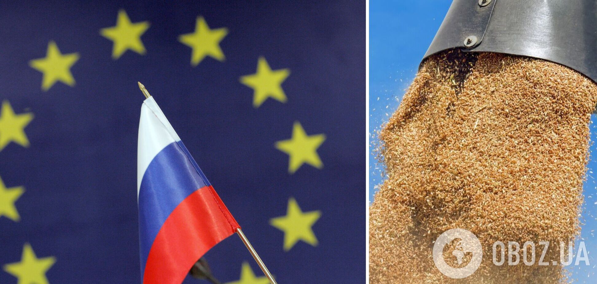 ЕС продолжит закупать зерно у России, но введет ограничения