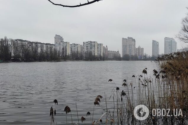 Синоптики прогнозируют облачную погоду в регионе