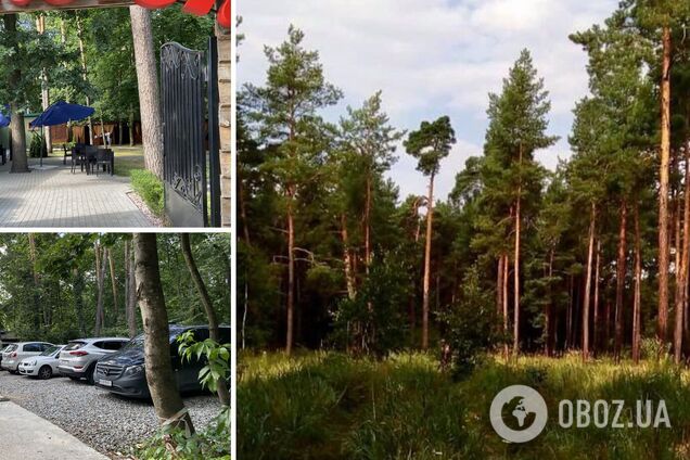 Києву повернули частину Національного парку. Наразі залишилося знести незаконний ресторан на заповідних землях НПП 'Голосіївський'