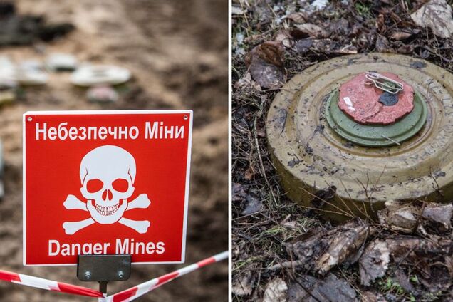 Пішли у ліс і не повернулися: на Волині підірвалися троє чоловіків, їх знайшли мертвими