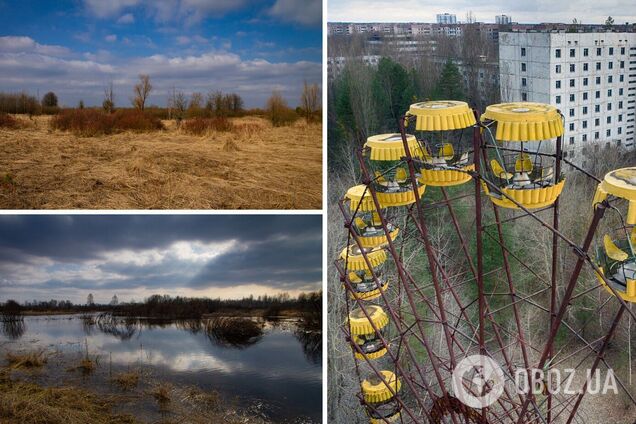 Чорнобильська зона на початку весни